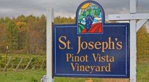 St. Joseph Vineyard