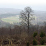 View of the countryside at Demarest.