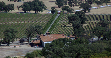 Brassfield Estate Winery