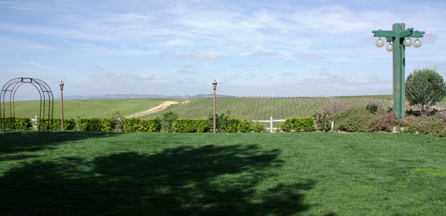 Callaway Vineyard and Winery