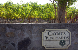 caymus winery