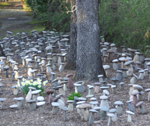 sculpture at Chandon