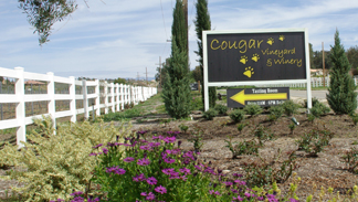 Cougar Vineyard and Winery