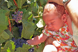 Fathers and Daughters Cellars