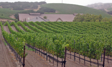 Foley Estates Vineyard and Winery