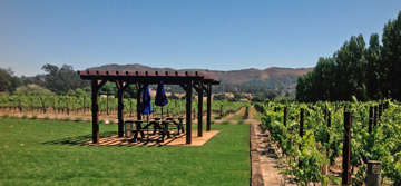 Melville Vineyards and Winery
