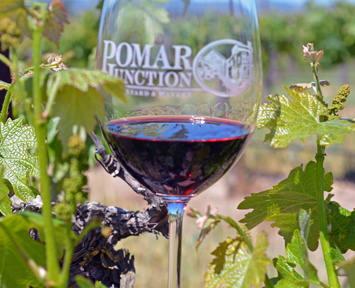 Pomar Junction Vineyard and Winery