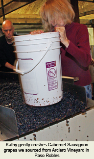 Cabernet Sauvignon from Arciero Vineyard