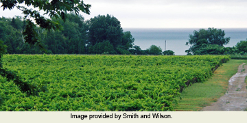 Smith & Wilson Estate Wines