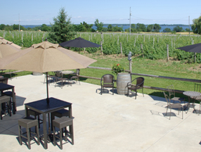 Thirty-Three Vines Winery