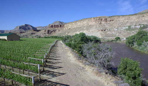 Colorado wines