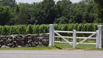 Connecticut vineyards