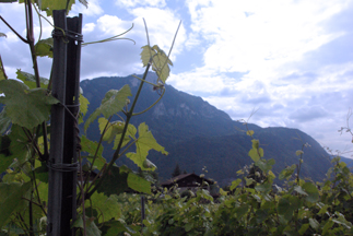 France Savoie wine region