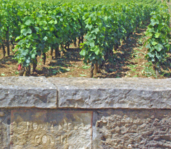 France terroir