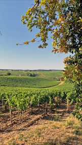 Domaine Celine and Frederic Gueguen