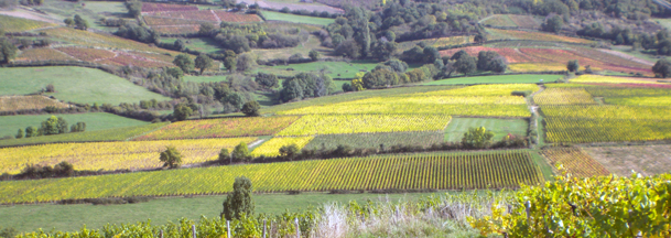 Domaine Marc Jambon et Fils