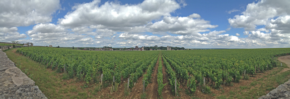 Chateau du Clos de Vougeot