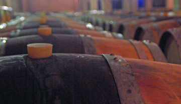 Telavi Wine Cellar Marani of Telavi