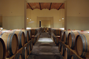 barone Ricasoli wine cellar