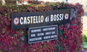 Castello di Bossi