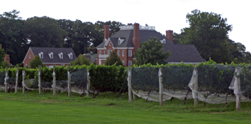 Bordeleau Vineyards and Winery