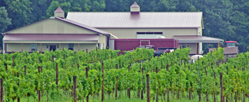 Cassinelli Winery and Vineyards