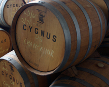 barrel room at Cygnus Wine Cellars