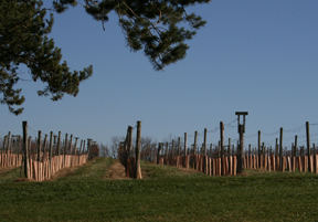 Loew Vineyards