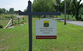 Sugarloaf Mountain Vineyard