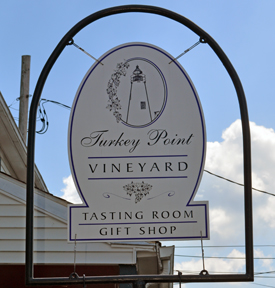 Turkey Point Vineyard