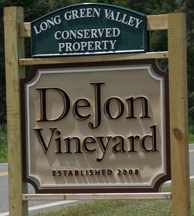 Dejon Vineyard