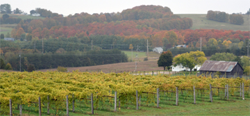 Petoskey Farms Vineyard and Winery