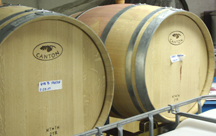 oak aging wine