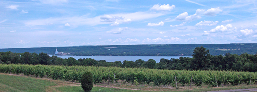 Frontenac Point Vineyard and Estate Winery