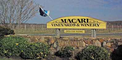 Macari Vineyards