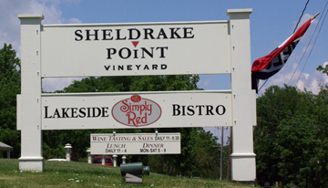 Sheldrake Point Vineyard