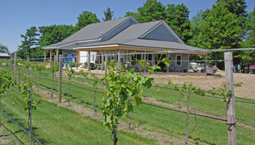 Vesco Ridge Vineyards