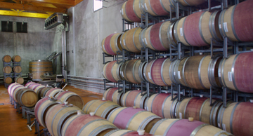 Craggy Range Winery, Giants