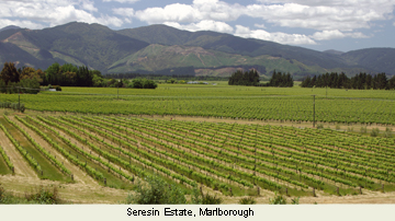 Seresin Estate, Marlborough