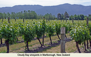 New Zealand Wine Day in New York City