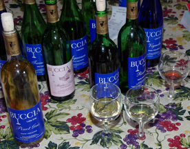 Buccia Vineyard