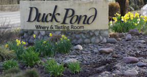 Duck pond Cellars Winery