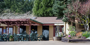 Erath Winery Tasting Room