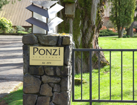 Ponzi Vineyards