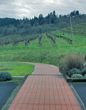 Rex Hill Vineyards