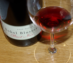Sokol Blosser wine