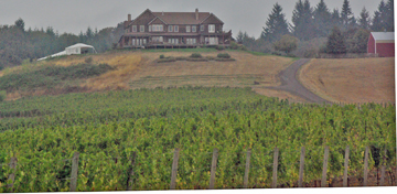 Youngberg Hill Vineyards and Inn