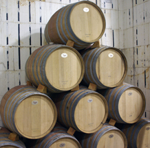 barrel room at Moon Dancer Vineyards and Winery