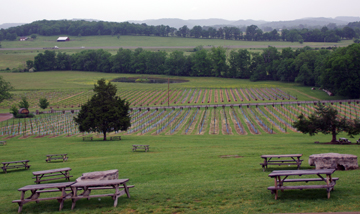 Arrington Vineyards