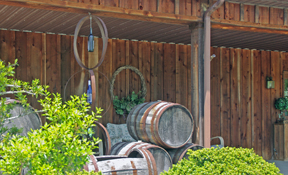 Countryside Vineyards and Winery